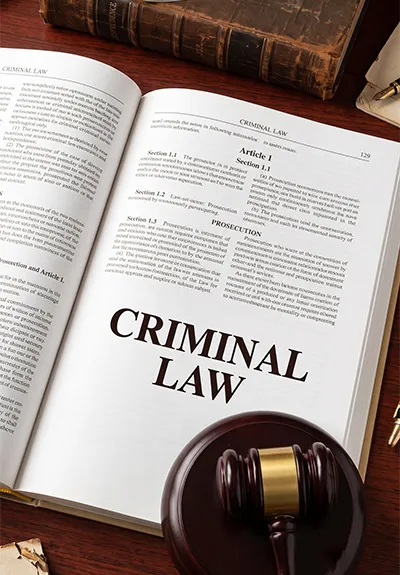 Criminal law trials and appeals lawyer in Tambaram