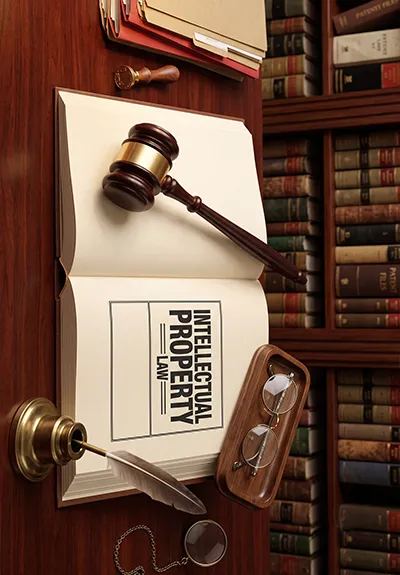 Intellectual property law services in Tambaram